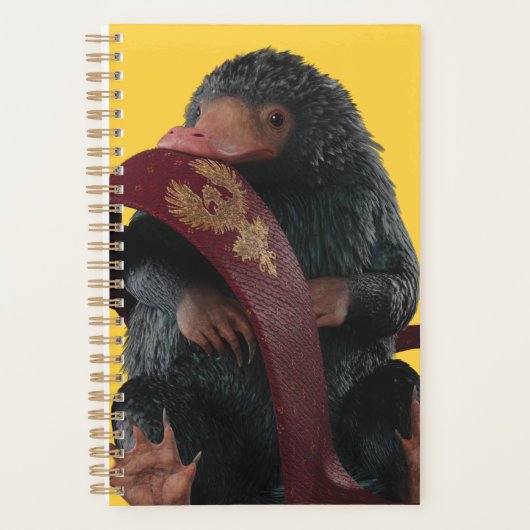 Teddy With Tie Graphic (Devant)