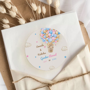 Teddybeer Geslacht Onthulling Roze Blauw Ronde Sticker