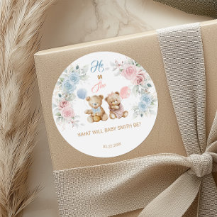Teddybeer Hij of Zij Geslacht Reveal Sticker