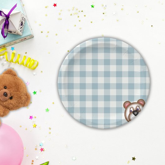 Teddybeer picknick gingham papieren bordje