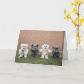 Teddyberen Kaart (Gele Bloem)