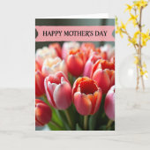 Teder Moederdag Tulp Kaart (Gele Bloem)