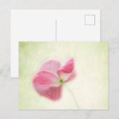 teder papaver briefkaart (Voorkant / Achterkant)