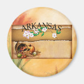TEE Arkansas Magnets (Devant)