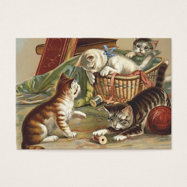 TEE Curious Cat (Devant)