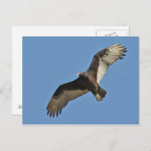 Teelt in Turkije Briefkaart (Voorkant / Achterkant)