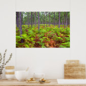 Teelt van gewone gebroken (teridium aquilinum) poster (Keuken)