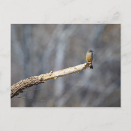 Teenie Tiny Briefkaart