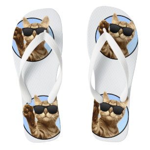Teenslippers met koude katten