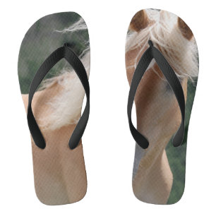 teenslippers _ paard