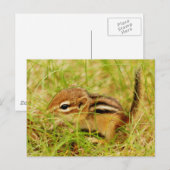 Teeny Tiny Baby Chipmunk Briefkaart (Voorkant / Achterkant)