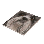 tegel 2 tegeltje (Zijkant)