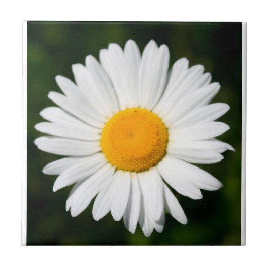 tegel margriet tegeltje (Voorkant)