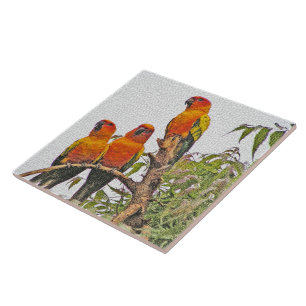 TEGEL/TRIVET, DRIE ORANJE PAPEGAAIEN (DIGITALE MAN TEGELTJE