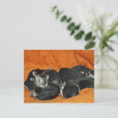 Tegel van Baby Opossum Briefkaart (Staand voorkant)