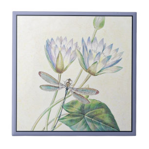 Tegel van keramische Lotus en dragonfly Tegeltje