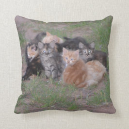 Tegel van Kittens Kussen