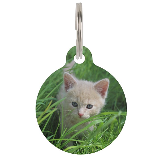 Tegelijkertijd een teveel aan knuffeligheid huisdierpenning (Voorkant)