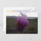 Tegen de Korrel Briefkaart (Voorkant / Achterkant)