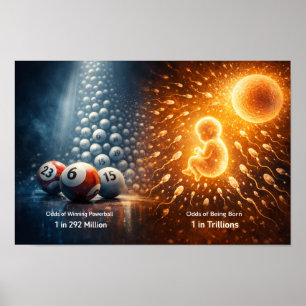 Tegen onmogelijke kansen poster
