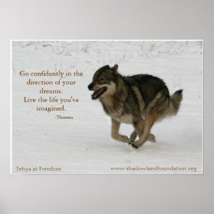 Tehya bij Freedom Wolflection Poster