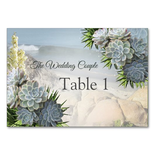 Teintes succulentes de bleus pâles Cartes de table (Devant)