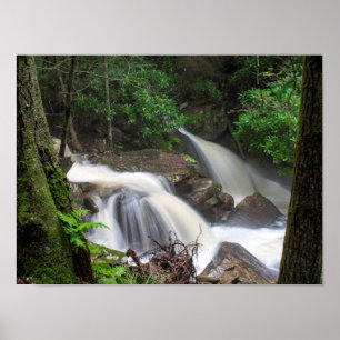 Teken Creek-Herfsten Poster