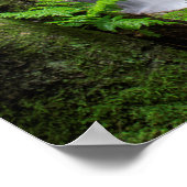 Teken Creek-Herfsten Poster (Hoek)