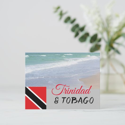 Teken en strand van Trinidad en Tobago Briefkaart (Staand voorkant)