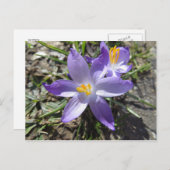 teken van de lente briefkaart (Voorkant / Achterkant)