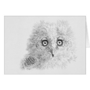 Teken van grote paarden