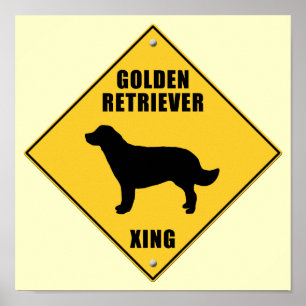 Teken voor Golden Retriever kruising (XING) Poster