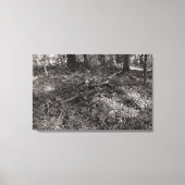 Teken - Warm Toned Black and White Canvas Afdruk (Voorkant)