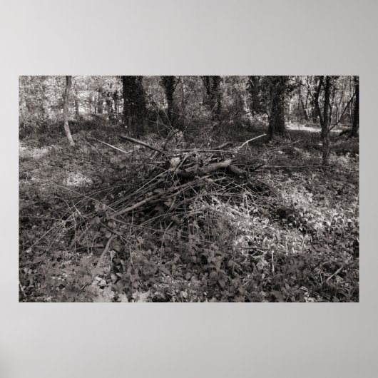 Teken - Warm Toned Black and White Poster (Voorkant)