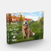 Tekenafdrukken op onze denkhond van het hart fotoblokken (Links)