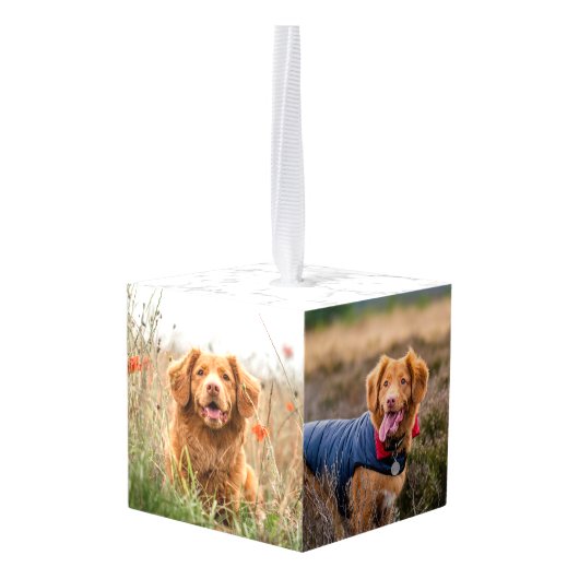 Tekenafdrukken op onze foto van het hoofdartikel kubus ornament (Achter hoekig)