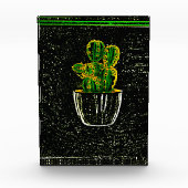 Tekencactus Fotoblokken (Voorkant)