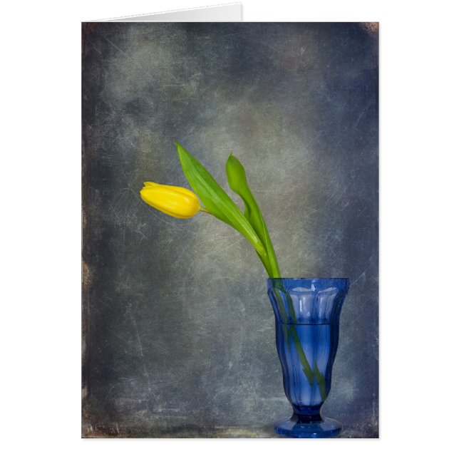 Tekenen van de Lente (Voorkant)