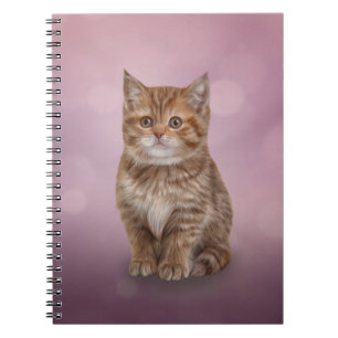 Tekenen van gekke gestreepte kitten notitieboek