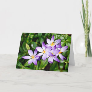 Tekenen van Spring Kaart
