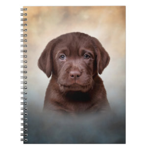 Tekenende puppy Labrador Notitieboek