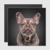 Tekenhond Frans Sierkussen voor bulldog-blocnote (Voorkant / Achterkant)