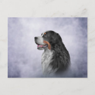 Tekening Bernese Mountain Dog Briefkaart