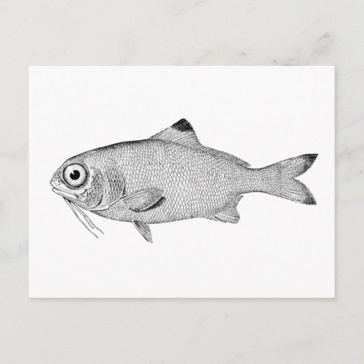 tekening briefkaart (Voorkant)