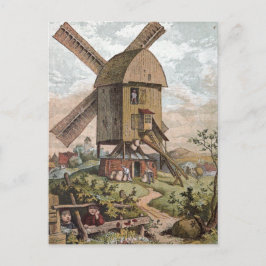 tekening: De oude Mill Briefkaart