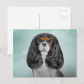 Tekening Dog Cavalier King Charles Spaniel Briefkaart (Voorkant / Achterkant)