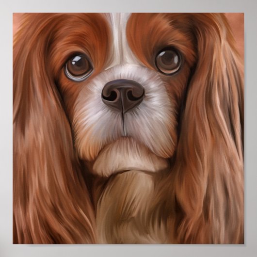 Tekening Dog Cavalier King Charles Spaniel Poster (Voorkant)