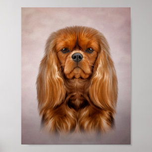 Tekening Dog Cavalier King Charles Spaniel Poster