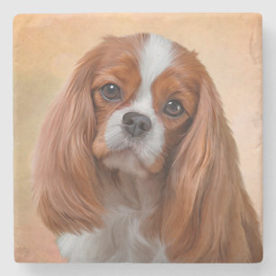 Tekening Dog Cavalier King Charles Spaniel Stenen Onderzetter