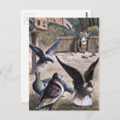  tekening: Drager Pidgeons Briefkaart (Voorkant / Achterkant)